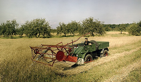 Unimog 411 mit Schwadmäher bei der Getreideernte, der Antrieb erfolgt über die vordere Zapfwelle